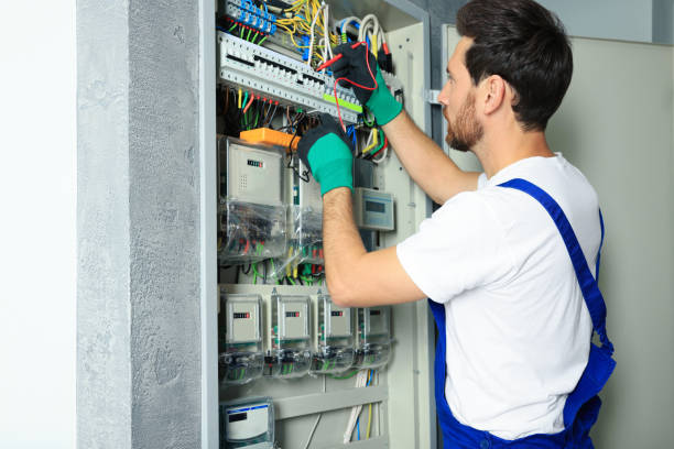 Best Electrical Troubleshooting Services  in Limestone Creek, FL